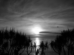 Black And White Sunset