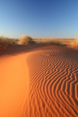 Amazing Sanddune