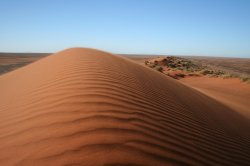 Amazing Sanddune