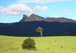Wollumbin (mt Warning)