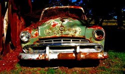 The Dodge