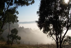 Mitsy Morning From The Acheron Cutting