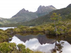 Reflections Of Cradle Mountain