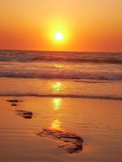Suns Reflections