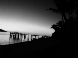 Dreams Flow