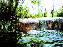 Wet Wonder Land