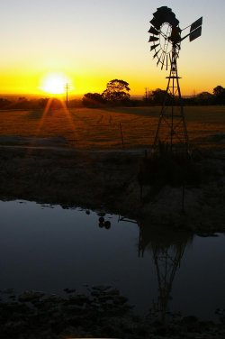 Low Tide (spring Drought)