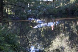 Kurth Kiln Reflections