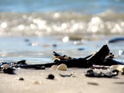 White Heaven Beach
