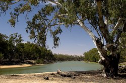 Murray River