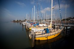 Sleeping Boats