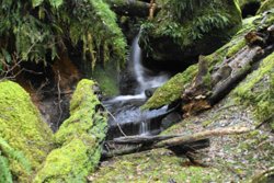 Mavista Falls