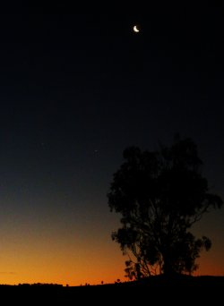 Twilight Sky