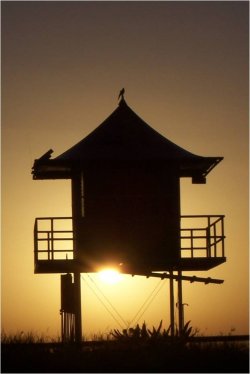 Lifeguard