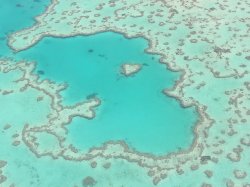 Heart Reef