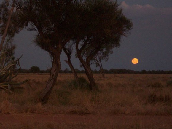 Full Moon At Dusk