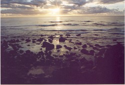 Ballina Sunrise