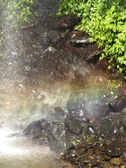 A Misty Rainbow