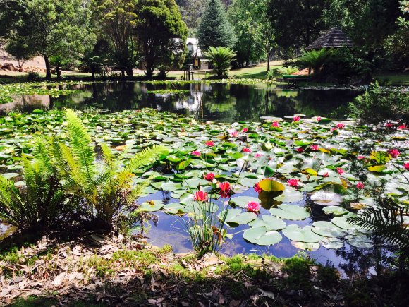Tranquility