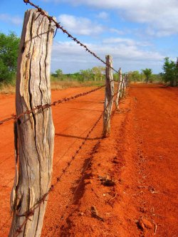 Outback Fenceline