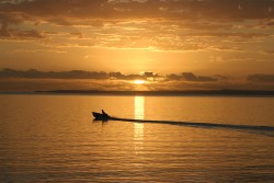 Sunrise - Manly Yacht Harbour