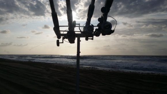 Early Morning Fish