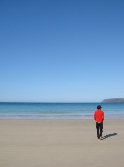 The Beach