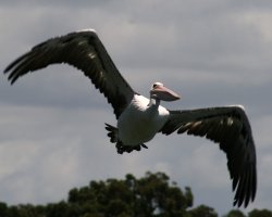 Take Off