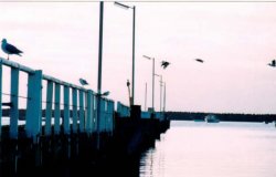 Over The Jetty And Far Away
