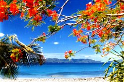 Whitsunday Island