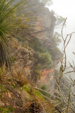 Through The Fog