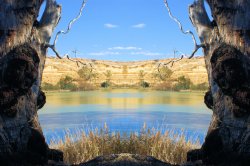 The Murray River Monster