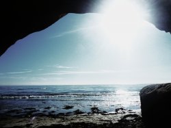 Looking Out