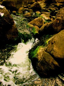 Water Trail