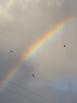 Over The Rainbow