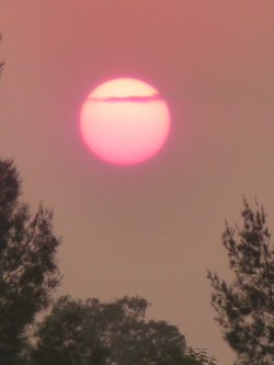 Dusty Pink