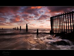 Dawn