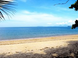 Paradise