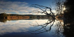 Reflections