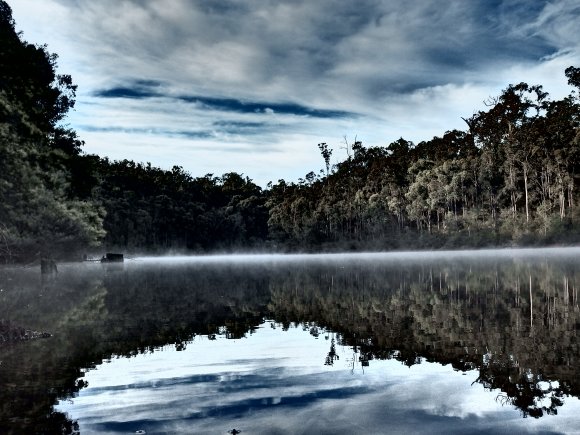 Winter Mist Bliss