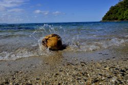 Castaway