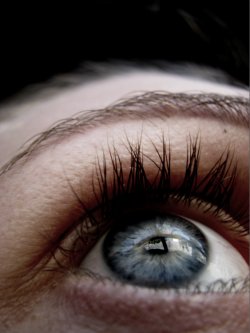 The Minds Eye
