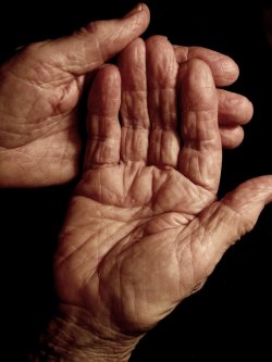 Hands Of Wisdom