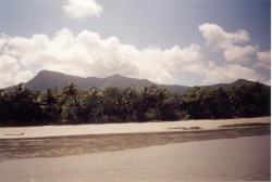 Cape Tribulation