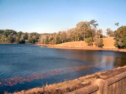 Rocky Creek Dam