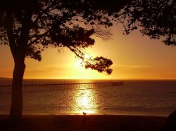 Days End