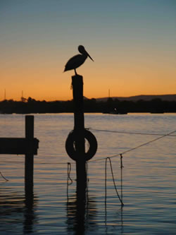Noosa River Sunset