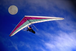 Free Spirit