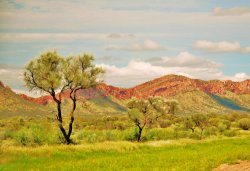 Colours Of Alicesprings