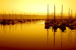 The Yacht Club